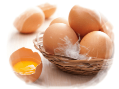 Приснились яйца: что это значит по сонникам?
